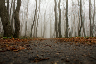 Similar image 944735