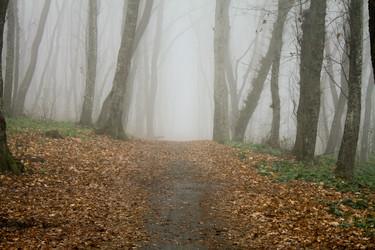 Similar image 944739