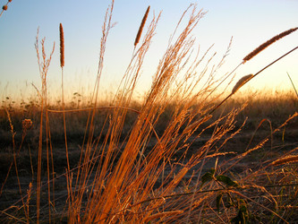 Similar image 944748