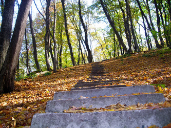 Similar image 944758