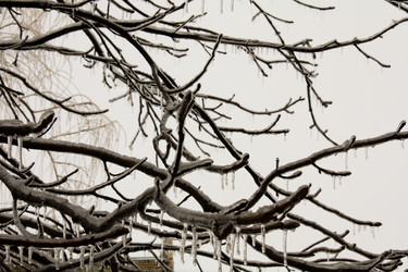 Similar image 944760