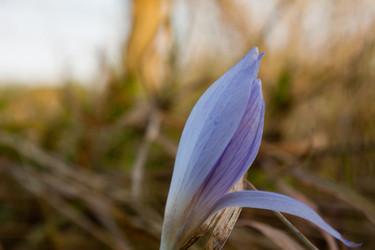 Similar image 944766