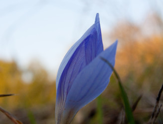 Similar image 944767