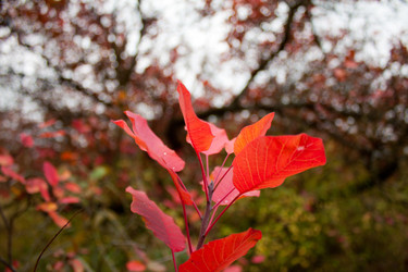 Similar image 944771