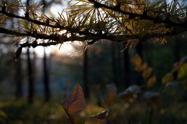 Similar image 944790