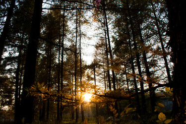 Similar image 944796