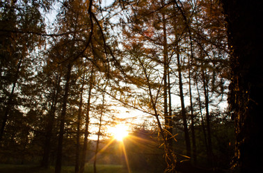 Similar image 944797