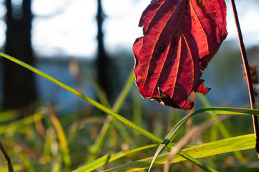 Similar image 944798