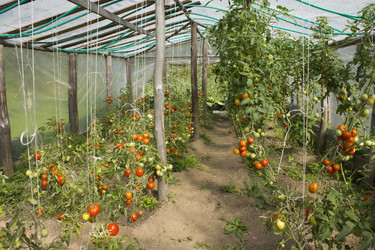 Similar image 945056