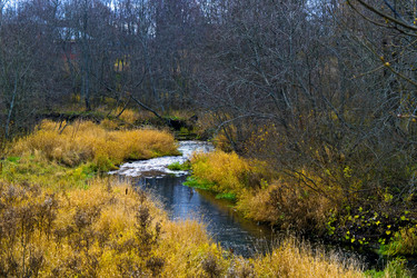 Similar image 945085