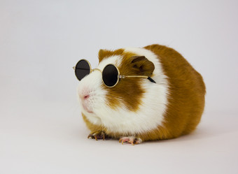 Similar image 945108