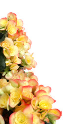 Similar image 945317