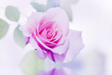 Similar image 945415