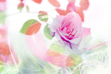 Similar image 945421