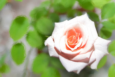 Similar image 945427