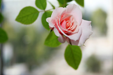 Similar image 945434