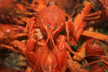 Similar image 945438