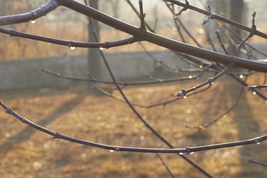 Similar image 945487