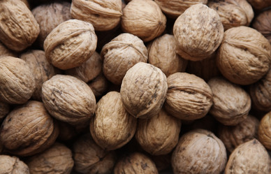 Similar image 945685