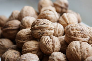 Similar image 945686