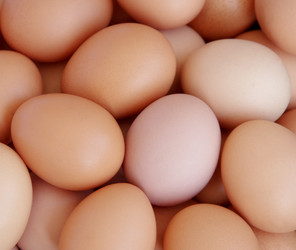 Similar image 945781