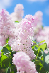 Similar image 945839