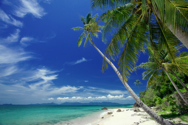 Similar image 945903