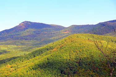 Similar image 946239