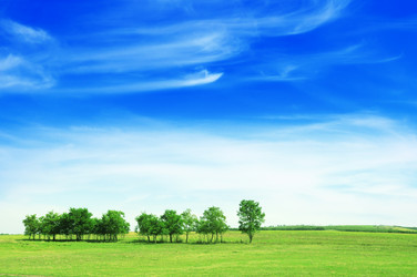 Similar image 946281