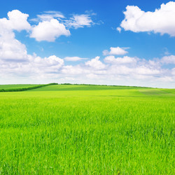 Similar image 946282