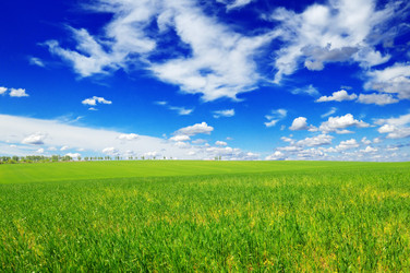 Similar image 946283