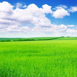 Similar image 946288