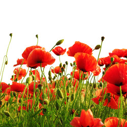 Similar image 946304