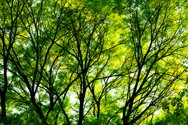 Similar image 946305