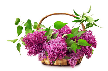 Similar image 946326