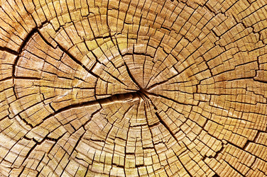 Similar image 946328