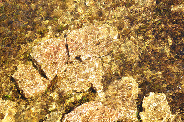 Similar image 946442