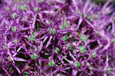 Similar image 946451