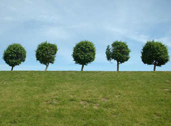 Similar image 946454