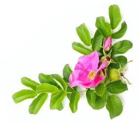 Similar image 946488