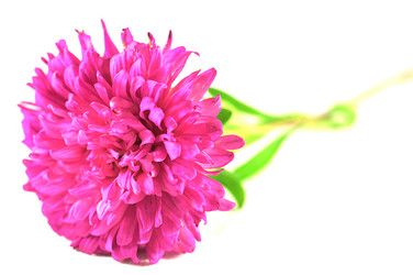 Similar image 946524