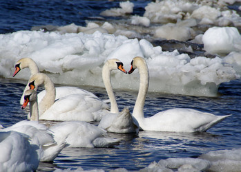 Similar image 946549