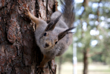 Similar image 946555