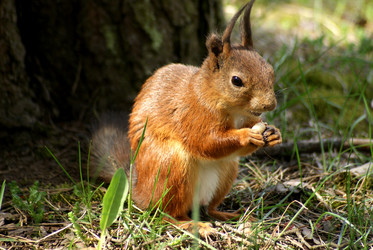 Similar image 946559