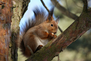 Similar image 946563