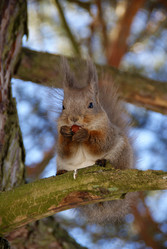 Similar image 946564