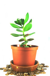 Similar image 946567