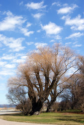 Similar image 946640