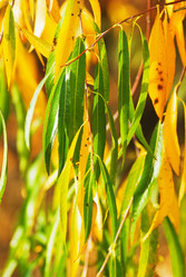 Similar image 946827