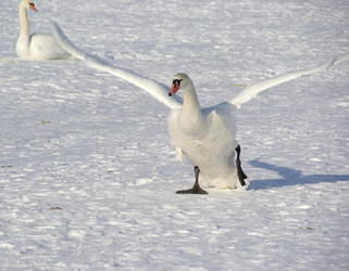 Similar image 947004